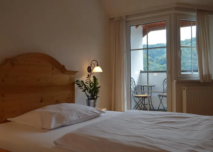 Hinterleithner Hotel Persenbeug